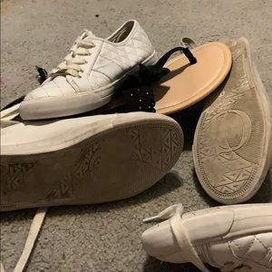 Meet your Posher, Theo